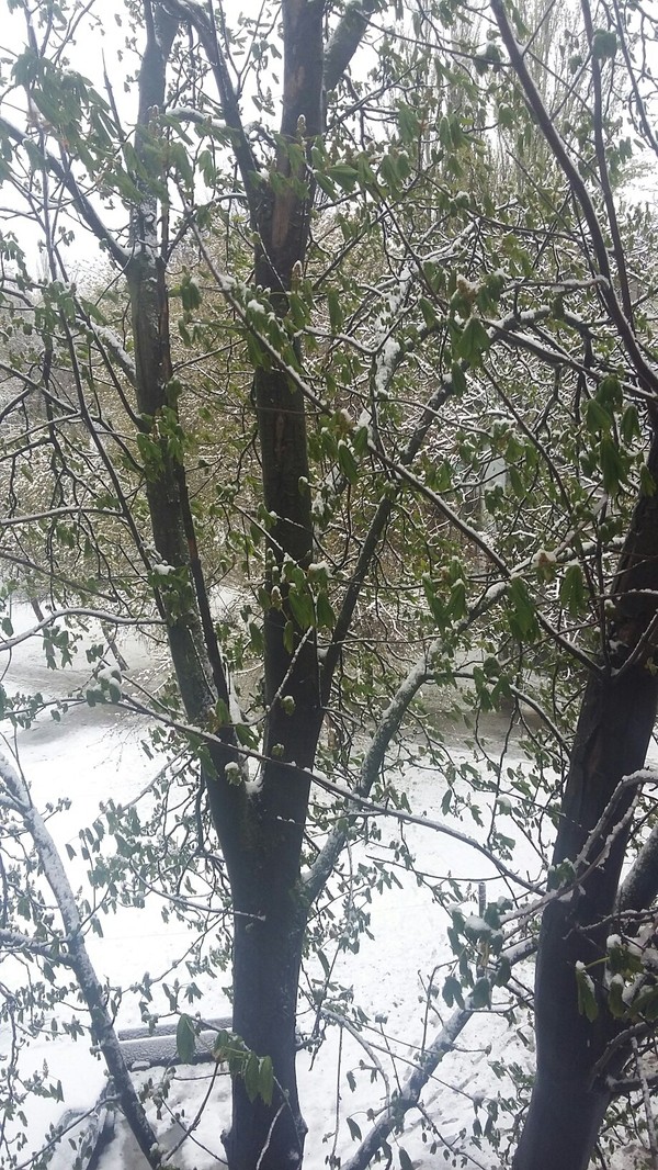 April 19 Zaporozhye.Spring. - Snow, Longpost, Spring