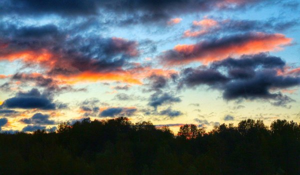 Clouds in the sunset light - My, Sky, My, Clouds, The sun, The photo, , Forest