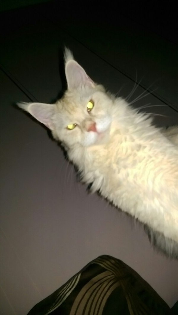 �������� ������, ������� ������..