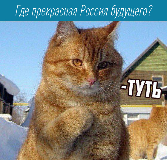 Котя всё знает - Кот, Россия