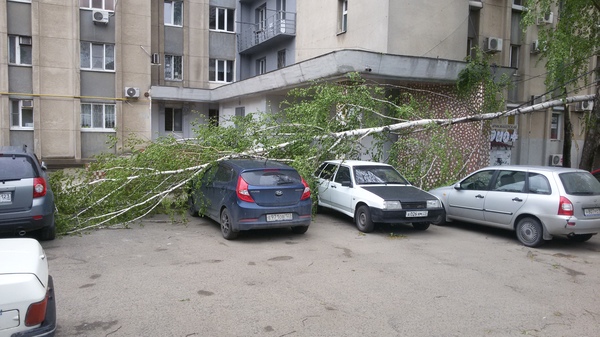 Boletus. - Mushrooms, Krasnodar, Storm, Accident