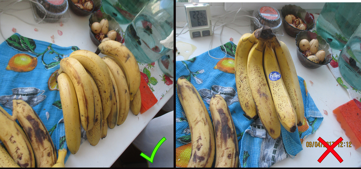Как сохранить бананы в домашних условиях. Бананы в холодильнике. Домик из бананов. Хранение бананов. Хранить бананы.