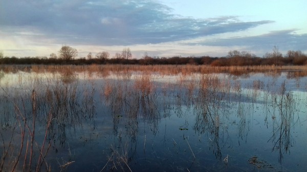 Sometimes it's beautiful at a party - My, Hunting, Novgorod region, Sunset