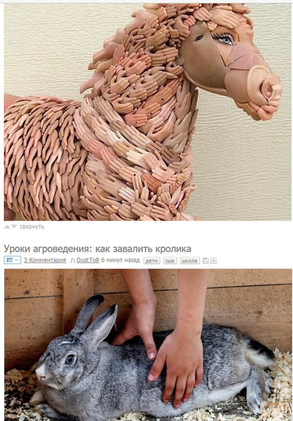 Hand-knot stepped on a rabbit - Screenshot, Images, Horses, Rabbit