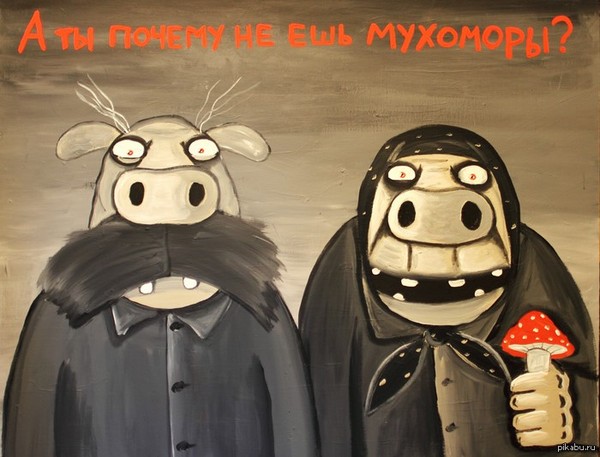 Вася Ложкин: Мухоморы кот, вася ложкин, мухоморы