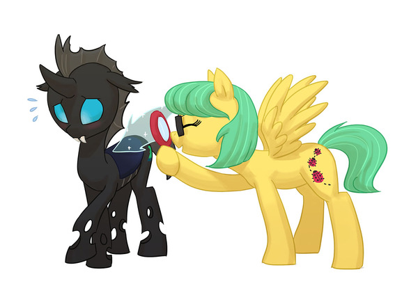  . My Little Pony, Thorax