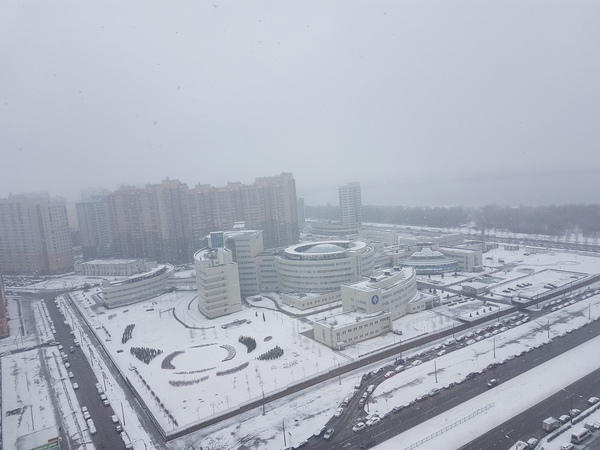 �����, �������.