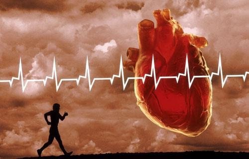 Тренировка сердца и выносливости Спорт, Тренировка, Вконтакте, Программа тренировок, Сердце, Здоровье, Выносливость, Мышцы