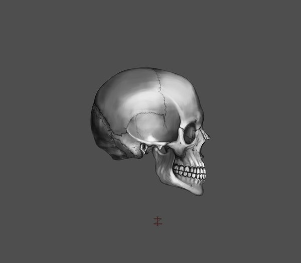scull - Self-taught, My, Art, Photoshop, Drawing, Scull, Creation