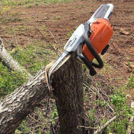 Technique in the hands of a fool is just a piece of iron - 9GAG, Chainsaw, Fools, Tree