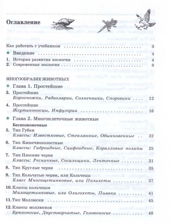 Как сделать оглавление ? - Моё, Гарри Поттер, Джоан Роулинг, Фантастические твари и где они обитают, Рисунок, Учебник, Длиннопост