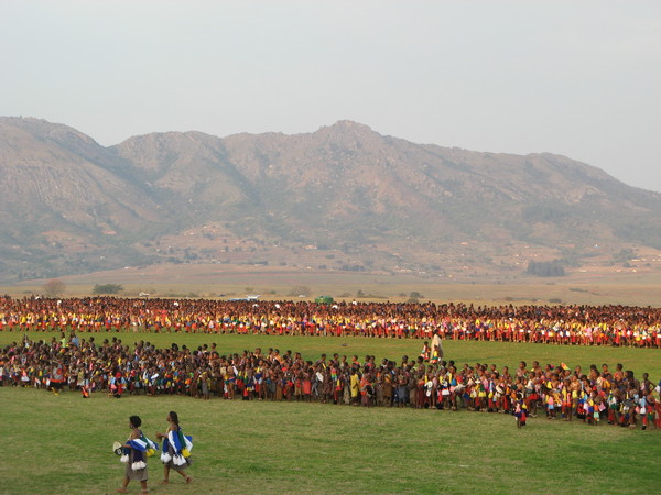 Thousands of naked virgins in one stadium: how the king of Swaziland chooses his wife. - NSFW, Strawberry, , , Video, Longpost, Wife