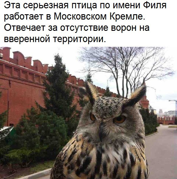 ������ �� ��� �����