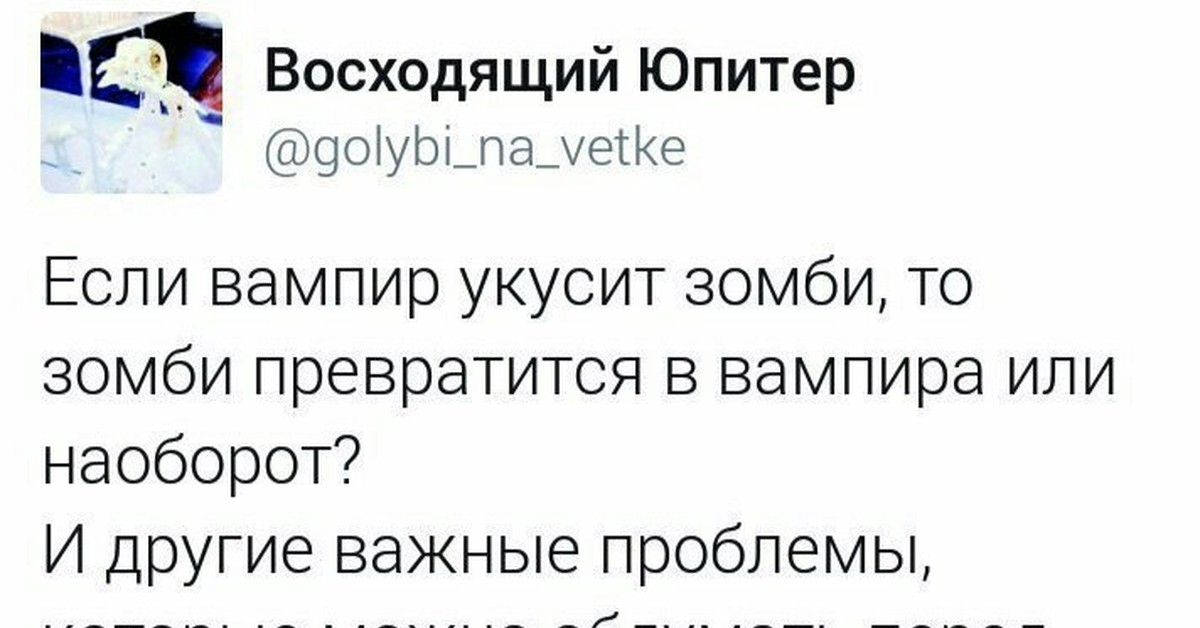 Вопросы на ночь. Вопросы перед сном приколы. Глупые мысли перед сном. Глупые вопросы перед сном. Странные мысли перед сном.