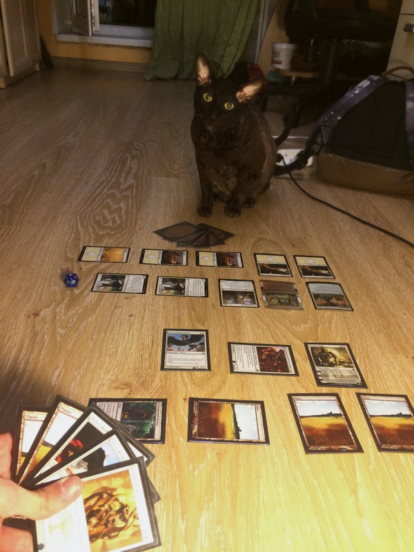 Cat and magic. - My, cat, Longpost, Magic: The Gathering, Cheater