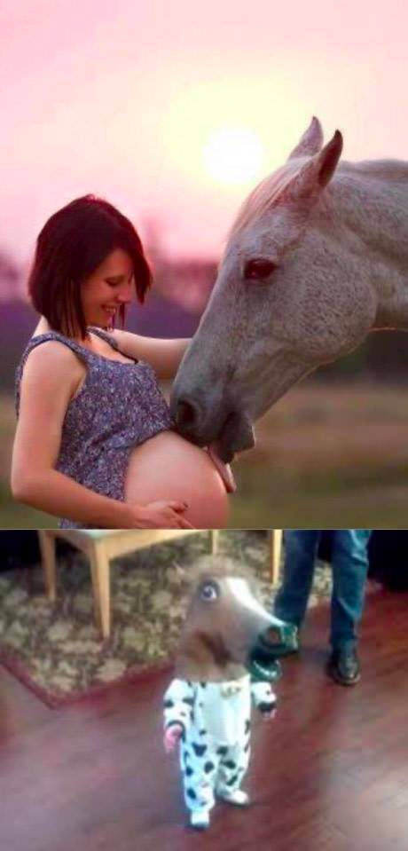 Foal - Horses, 9GAG, Pregnant, The photo, Pregnancy