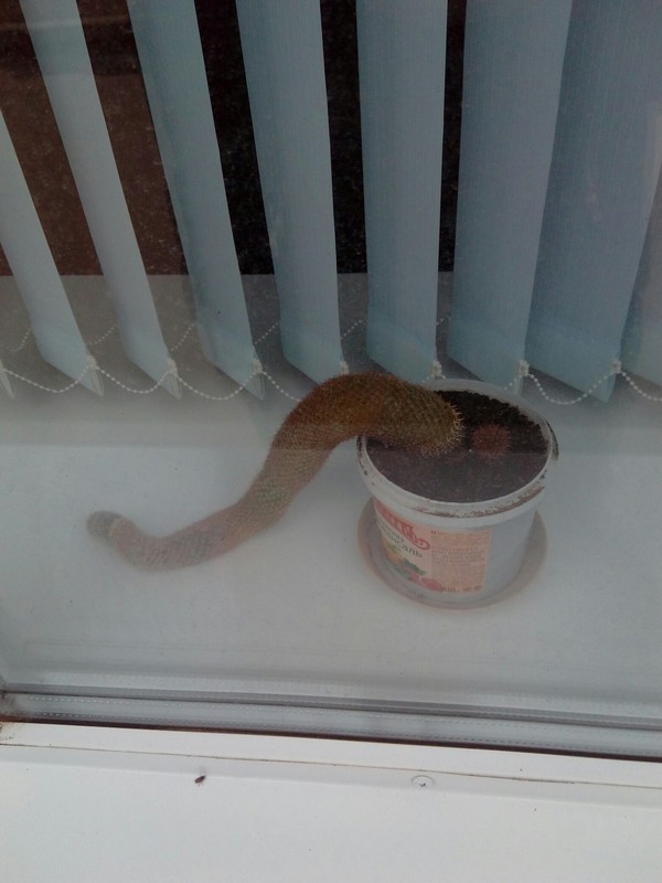 ������� �� ������ ���������