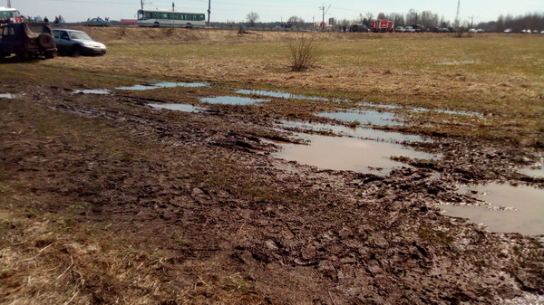 planting scaffolding - My, Forest, Text, Landing, Feces, Longpost