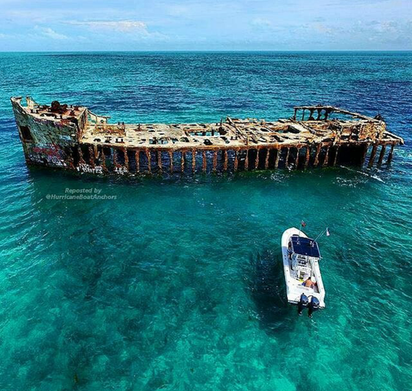 Новая Зеландия | Пикабу