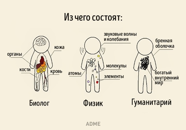 Из чего же, из чего же сделаны наши.. - Состав, Картинки, ADME