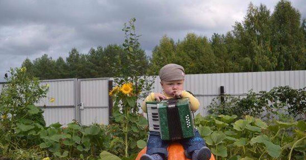 Муз, прикольные картинки по работе в огороде