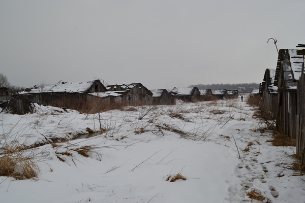 Abandoned village in the Leningrad region - Video, Leningrad region, Urbanphoto, Abandoned, My, Longpost