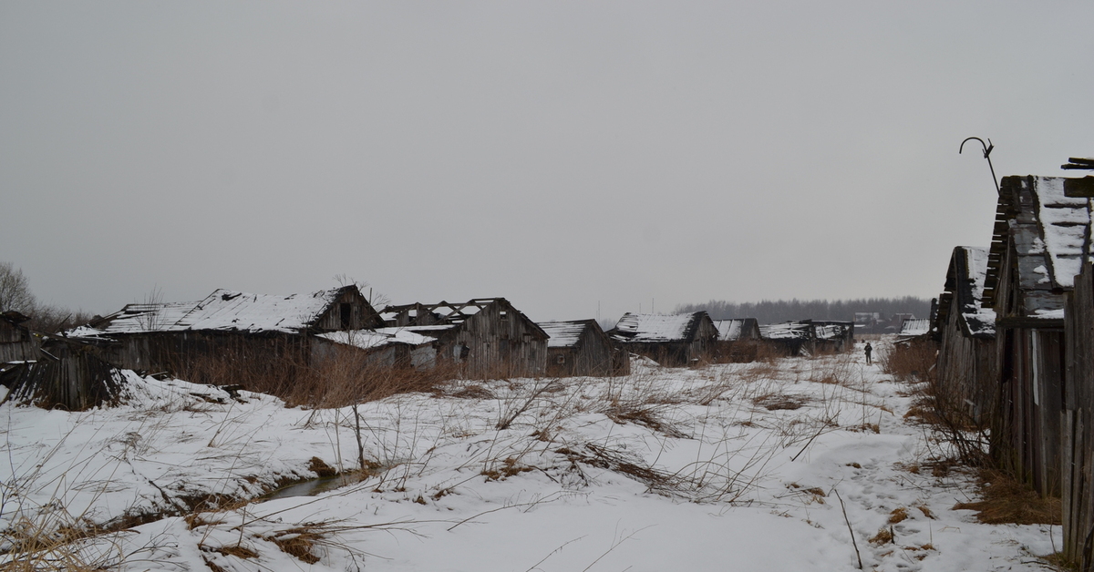 Заброшенные деревни ленинградской области на карте фото
