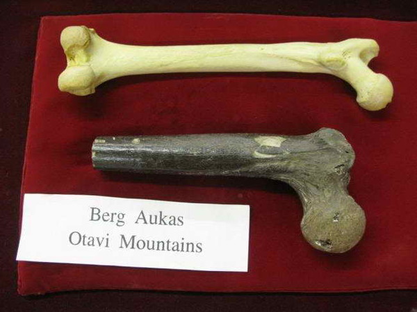 Ученые стараются забыть о находке