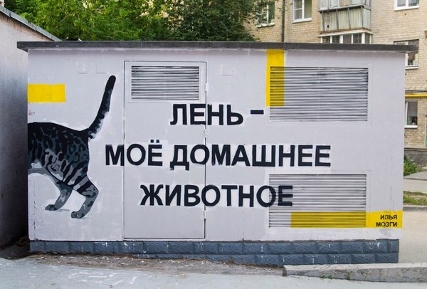 Pet - Animals, cat, Graffiti, Laziness