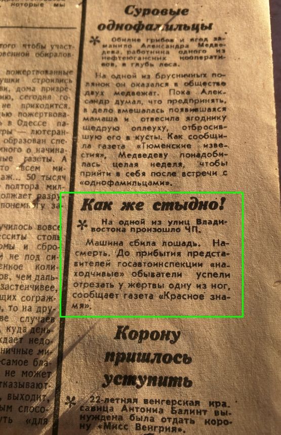 What a shame... - My, Newspaper Trud, the USSR, Horse