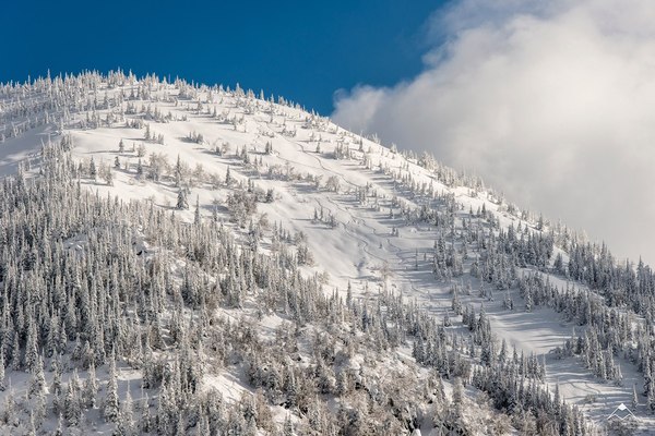 Diary of a mountain guide. Walkie-talkie with legs. - My, Work, Guide, Baikal, Freeride, Mamai, Longpost