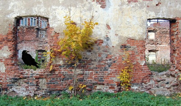 ��������.