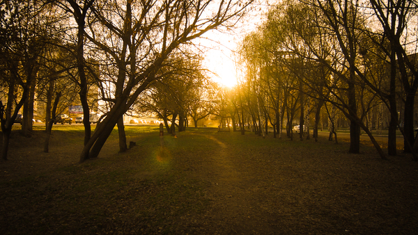 Spring in the city. - My, Sunset, The sun, Good morning, Siberia, Spring