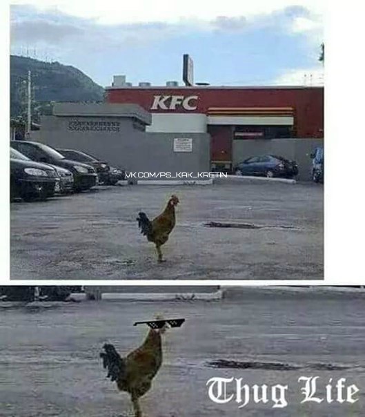   , KFC, Thug Life