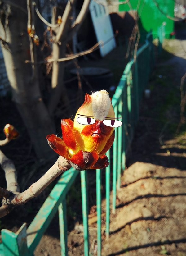 Сегодня скинул друг. Весеннего недовольства пост.