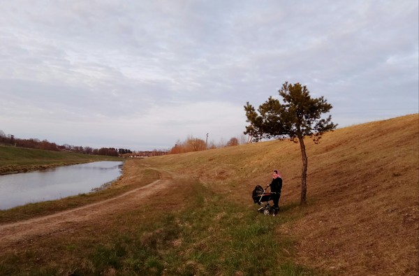 Landscape - Landscape, My, River