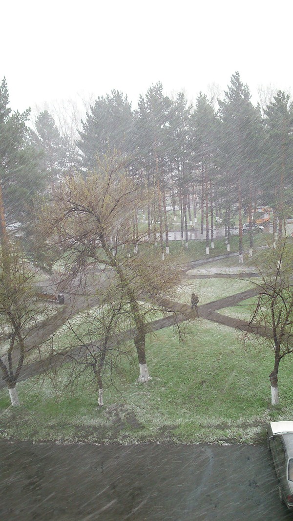 WORLD! - Snow, Siberia, 1st of May, Bad weather