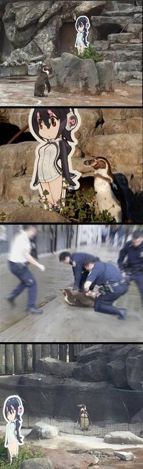 Penguin love between two penguins Grape-kun, Kemono Friends, , 