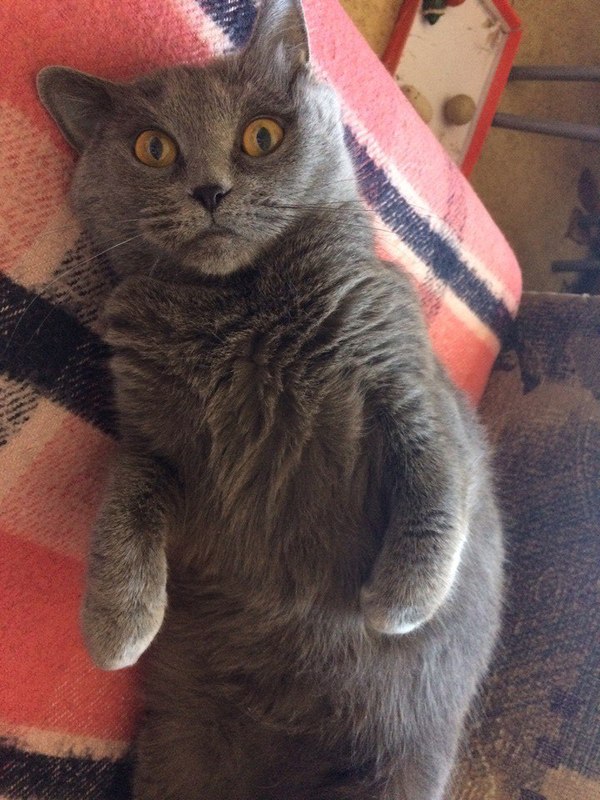 Когда понял, что ты...