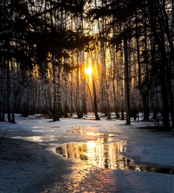 Весенний закат в городском парке - Моё, Фотография, Пейзаж, Снег, Закат, Весна, Nikon