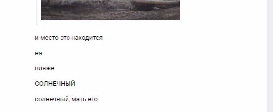 A little about Karelia - My, Карелия, Beach, Mosquitoes, Hopelessness, Correspondence, Screenshot, Grammatical errors, Mat