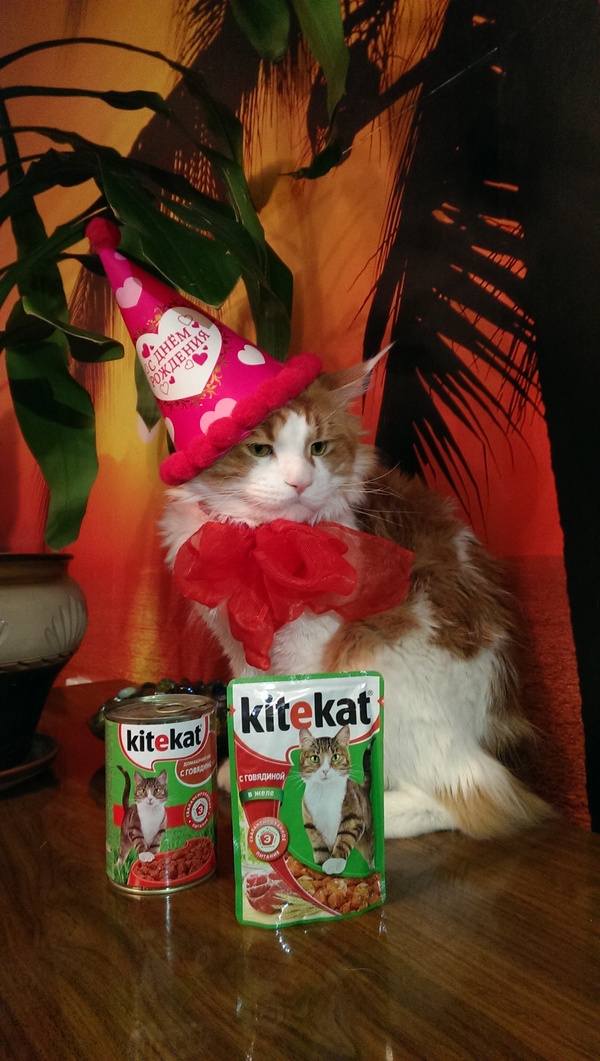 ����! � happy birthday ����!