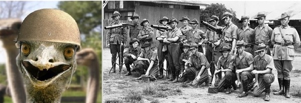 1493842211189936125 можно ли зарабатывать в америке а тратить в россии