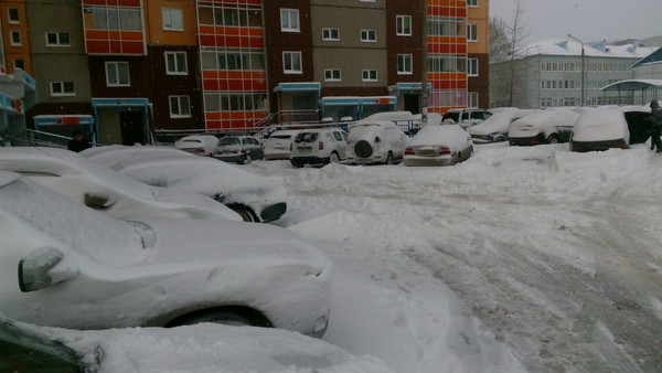 Майское утро в Сибири - Моё, Зима, Красноярск, Май