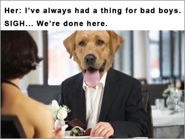 Relationship Difficulties - 9GAG, Good boy