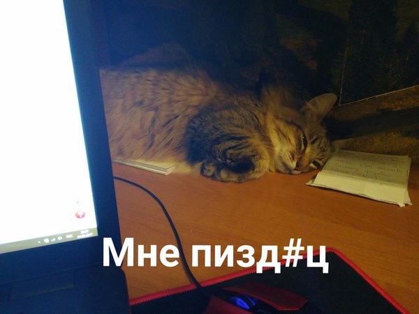 ��� ����� ������, ����� ��������� ������