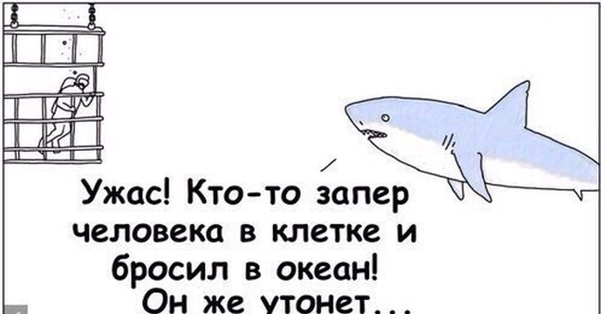 Картинка с акулой про зону комфорта