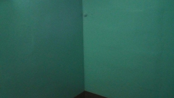 Такой вот звонок висит на лестнице. Много раз проходил, ни разу не видел Звонок, Скрытый, Неизвестность