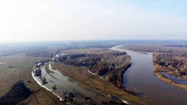 Overflow of the Chumysh River in Altai, spring 2017. - My, Altai, Altai region, , Video, Altai Republic