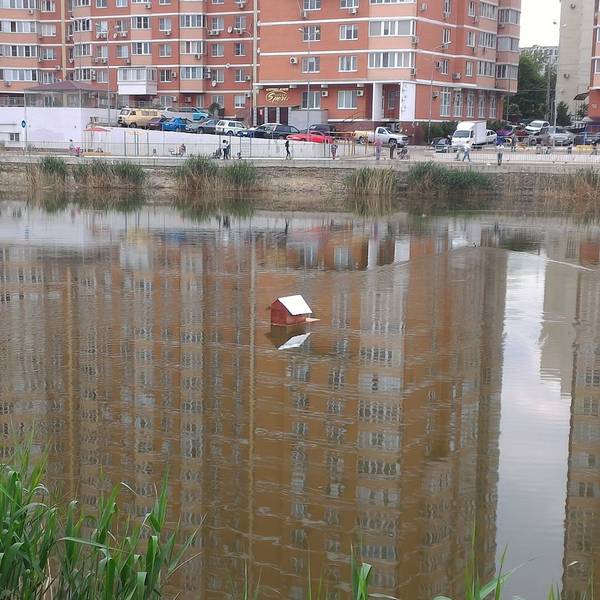 Did you miss Dimon? - My, Duck house, He's not a dimon for you, Krasnodar, 